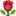 🌹